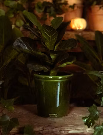 Handmade - Glazed terracotta pot