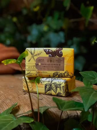 Natural - Sicilian Orange & Sweet Lemon soap