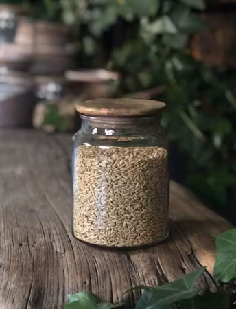 Glass & wood - Jar 65cl