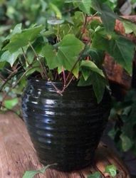 Handmade - Plant pot