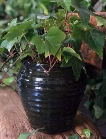 Handmade - Green Plant pot