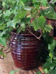 Handmade - Plant pot
