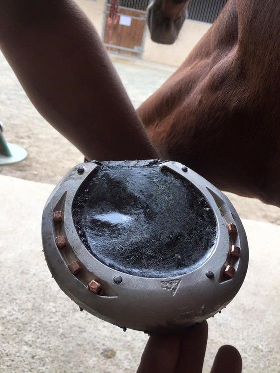 Equimix Sole Protect