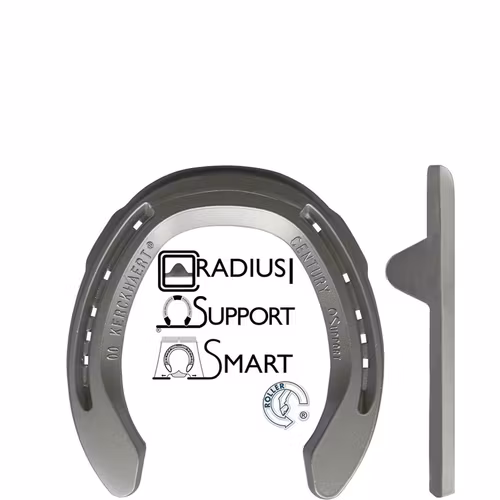 Alu Century Support Bak med Sidokappor