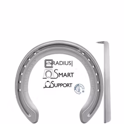 Alu Kings Plate Degree Fram med Tåkappa