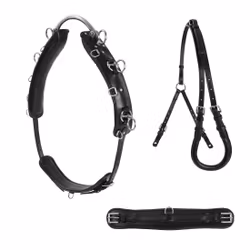 Tömkörningsgjord, shetland/ponny, Lippo