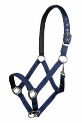 Nylongrimma, ponny-xfull, HKM Charming
