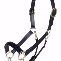 Lädergrimma, ponny-full, HKM Gold