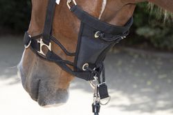 Nylongrimma, ponny-full, HKM Safe Control