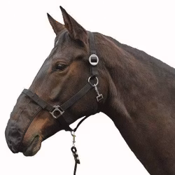 Nosnät, one size, HKM