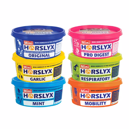 Slicksten, 650g, Horslyx