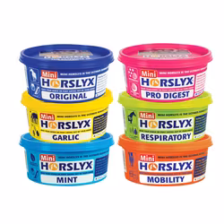 Slicksten, 650g, Horslyx
