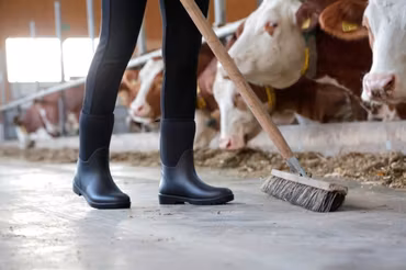 Stövlar, 36-45, Covalliero Neolite