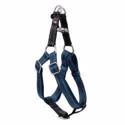 Sele, S-L, HKM Anam Cara Step In