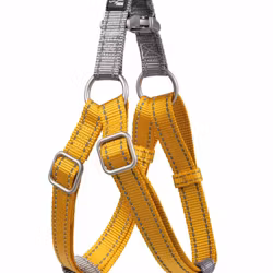 Sele, S-L, HKM Anam Cara Step In