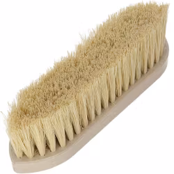 Rotborste, Magic Brush Waterlily