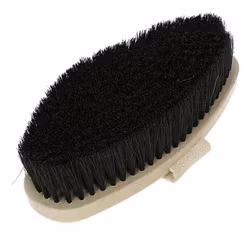 Ryktborste, Magic Brush Waterlily