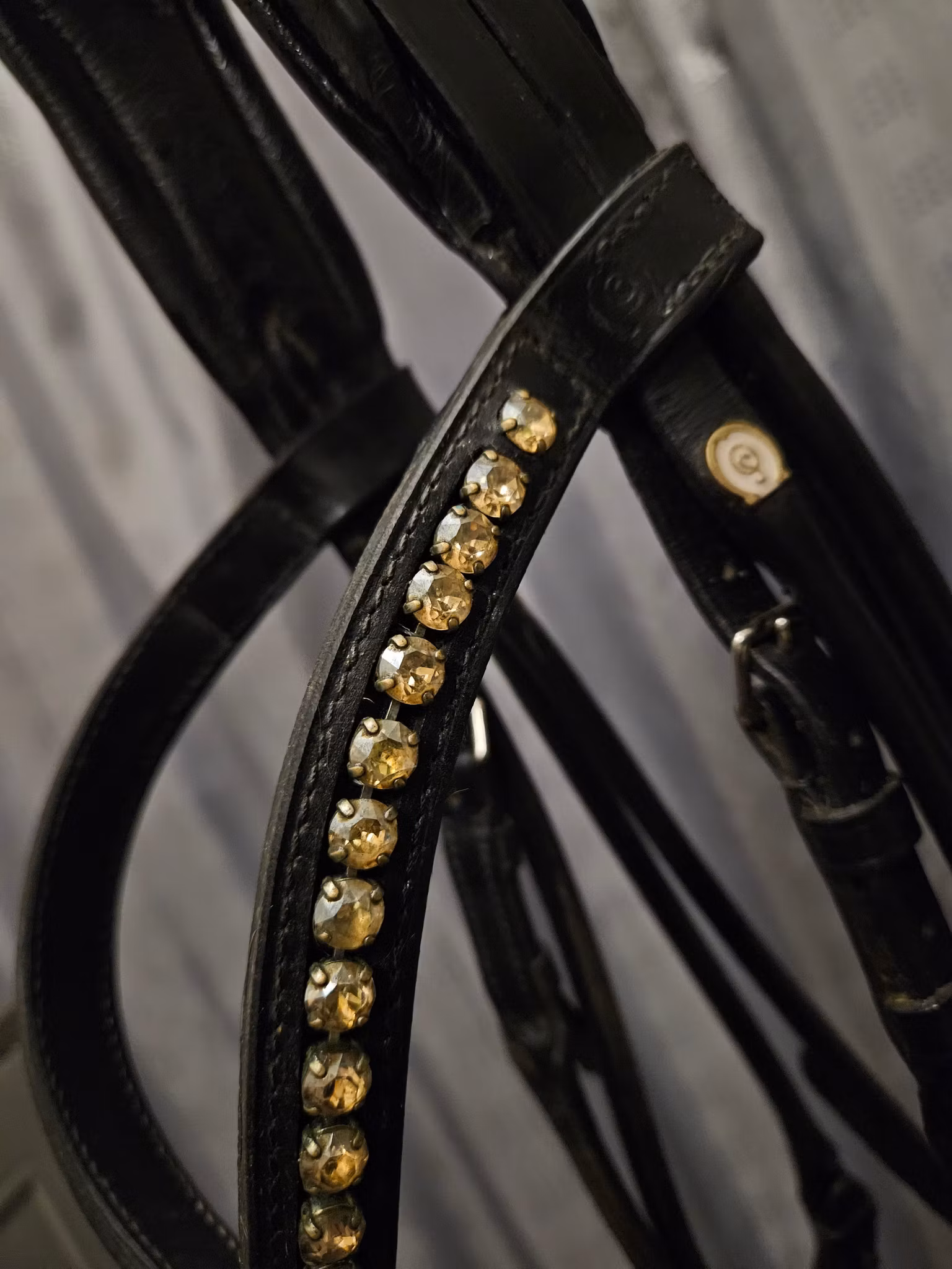 Kandarträns, XF, Otto Schumacher