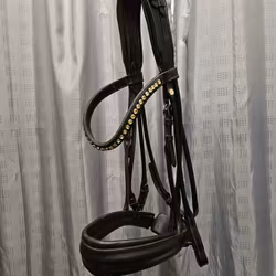 Kandarträns, XF, Otto Schumacher