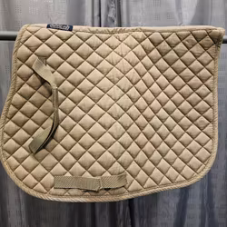 Schabrak, ponny, Protector