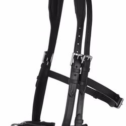 Kapson, cob-full, Covalliero