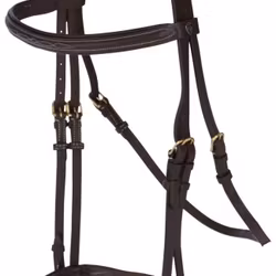 Aachenträns, ponny-full, Covalliero Classic