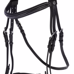 Aachenträns, ponny-full, Covalliero Classic