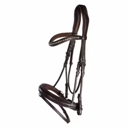 Aachenträns, cob-xfull, Lippo Courbette