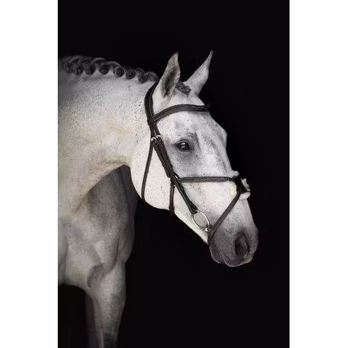 Pullarträns, ponny-xfull, Lippo Supreme Wilson