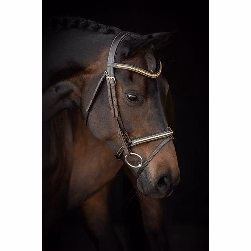 Aachenträns, cob-xfull, Lippo Supreme Nexon