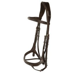 Aachenträns, ponny-xfull, Lippo Fazzino