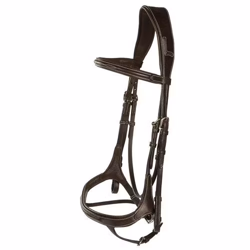 Aachenträns, ponny-xfull, Lippo Fazzino