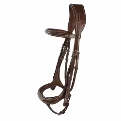 Aachenträns, ponny, Lippo Fazzino