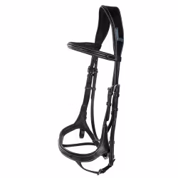 Aachenträns, ponny-xfull, Lippo Fazzino