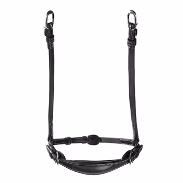 Remontnosgrimma, ponny-xfull, Lippo Fazzino