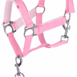 Nylongrimma (set), ponny, Covalliero Lilli Starlight
