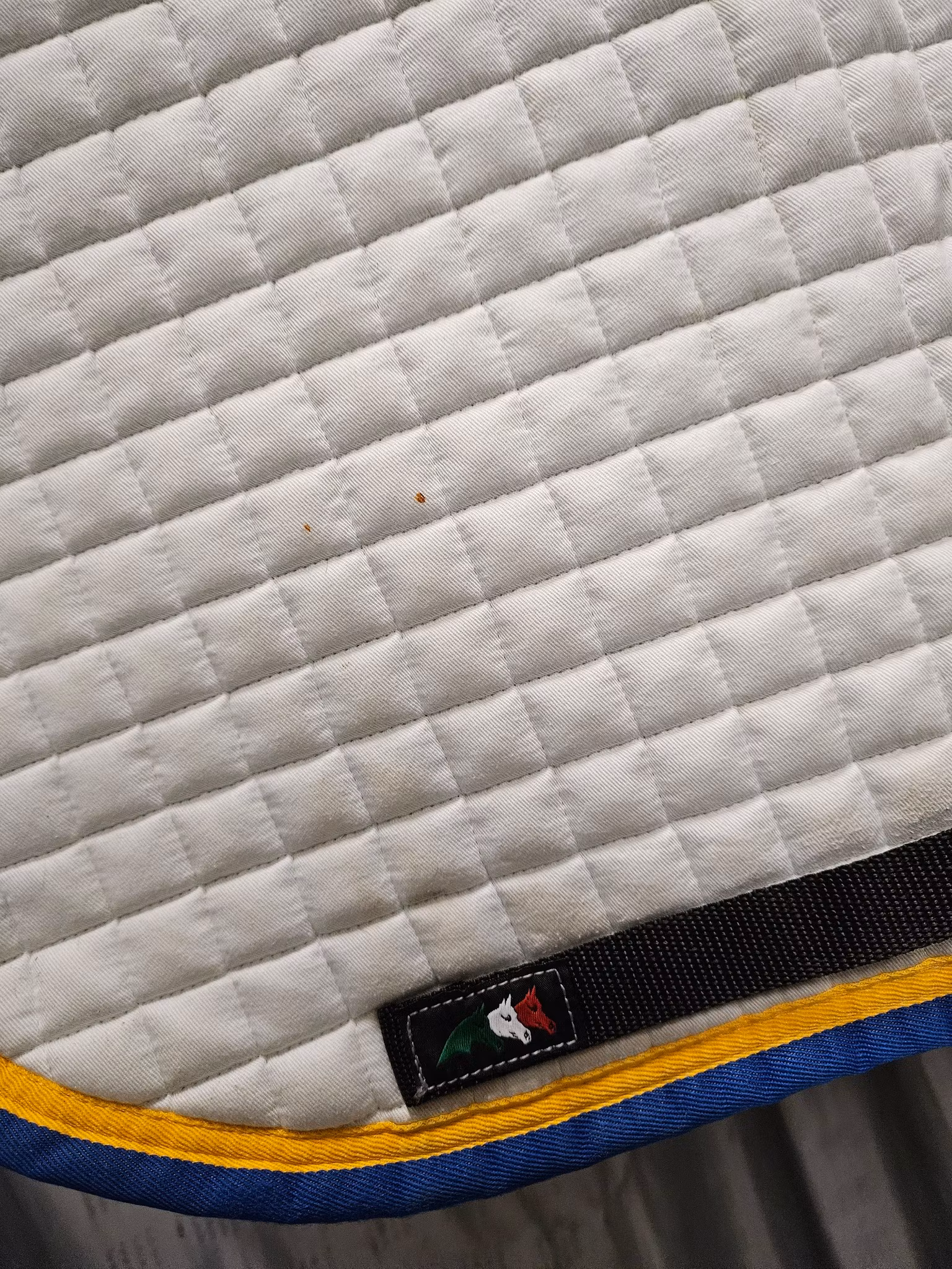 Schabrak, full, Equiline