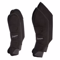 Transportskydd, ponny-full, Lippo