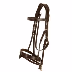 Aachenträns, ponny-xfull, Lippo Basic Trainer