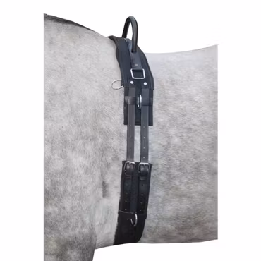 Barbackagjord, shetland-full, HKM