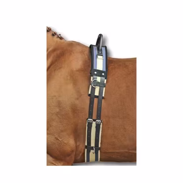 Barbackagjord, shetland-full, HKM