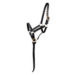 Nylongrimma, föl, Hansbo Sport