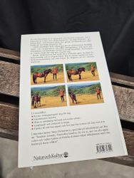 Bok: Rida Islandshäst, Reynir Aðalsteinsson, Gabriele Hampel