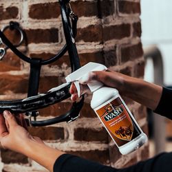 Lädertvål, Absorbine Therapy Wash