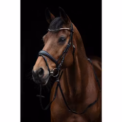 Aachenträns, ponny-full, HKM Kopenhagen