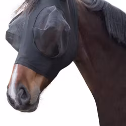 Flughuva, ponny-full, Covalliero FinoStretch