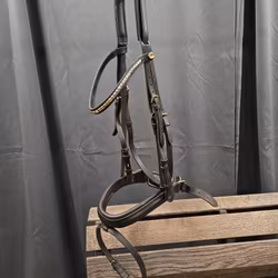 Aachenträns, cob, Schockemöhle