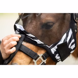 Flughuva, mini-shetland, HKM Zebra