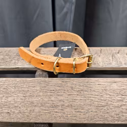 Halsband, 35 cm, Traxx