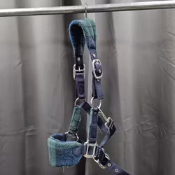 Nylongrimma, shetland, Fairfield